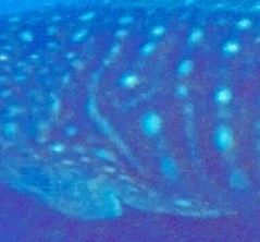 5c36e642-bef0-42d8-98f0-06e36984ac8e