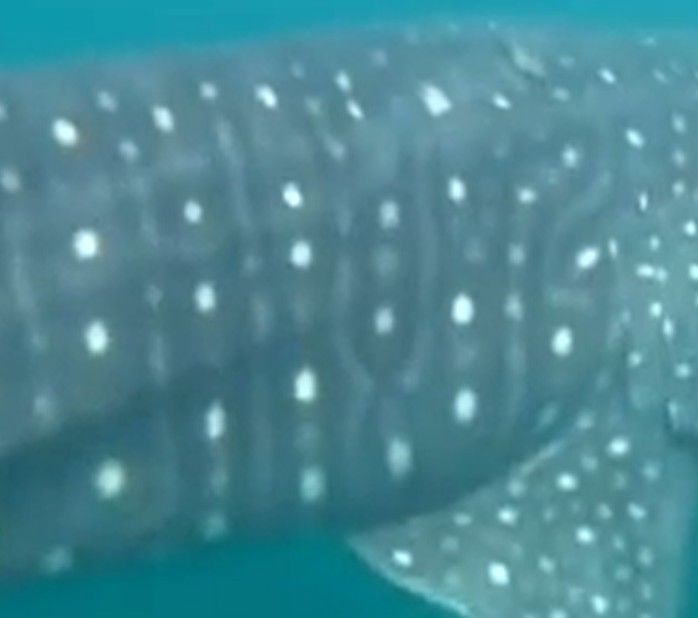 7bb2baa4-264c-41e8-8591-d076a2fde463