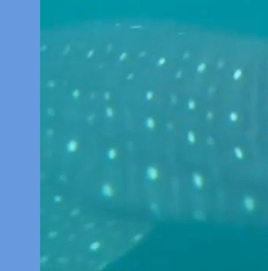 7bb2baa4-264c-41e8-8591-d076a2fde463