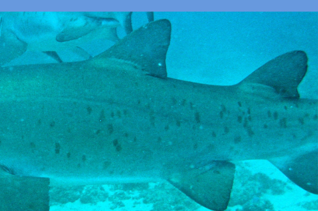 665339dc-4aa6-4b53-8f6c-0b4cbe9bf243