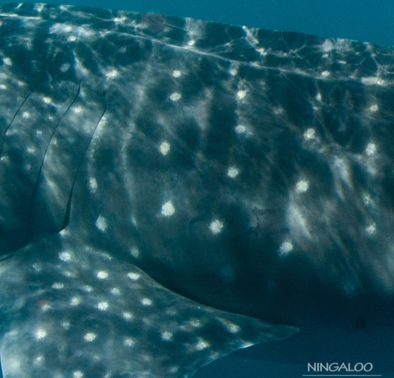 d24607f1-dc70-4998-b9b9-664cc08e46cd