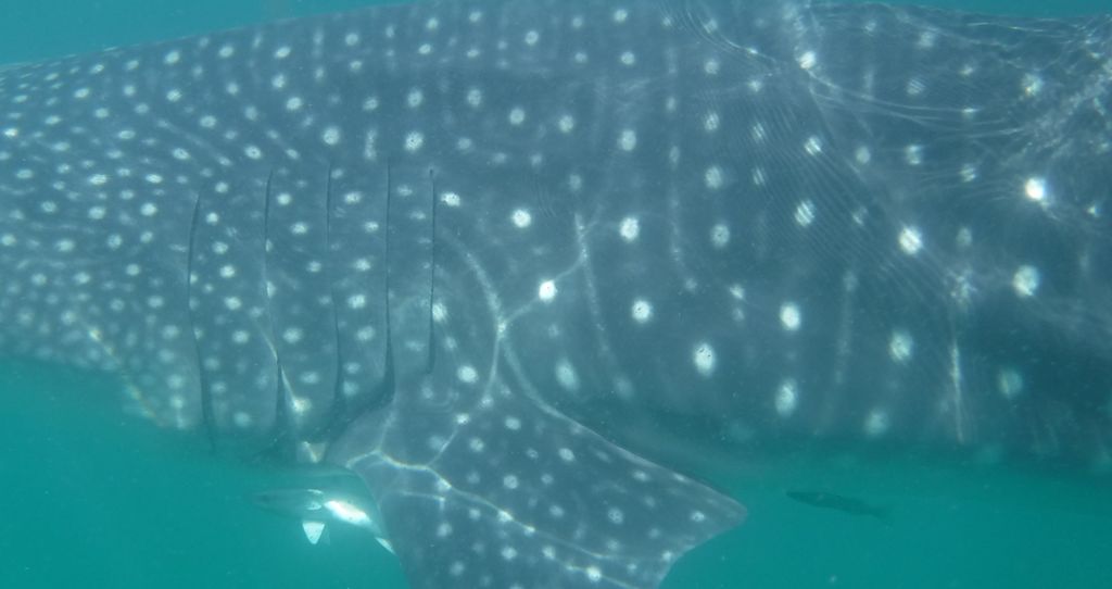 86d4d4c8-e338-4a5f-bd12-770c0e5c12a7