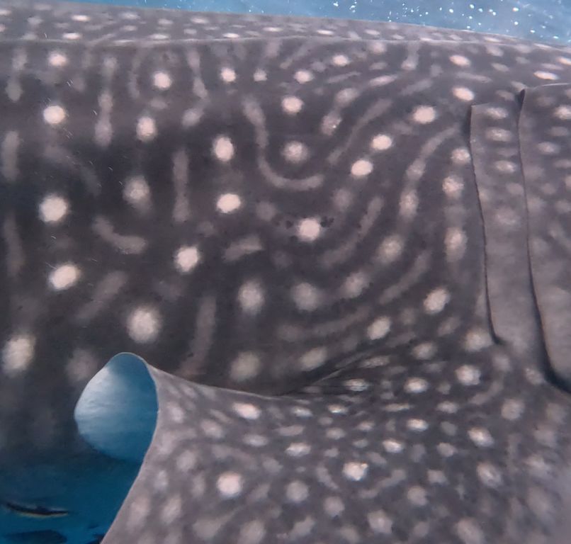 2f6af2be-0d8b-4b92-9ffc-b220eefd5e51