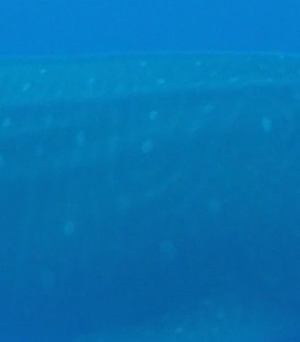 151409e0-61a9-40a0-81c2-633b8eb0b5d1