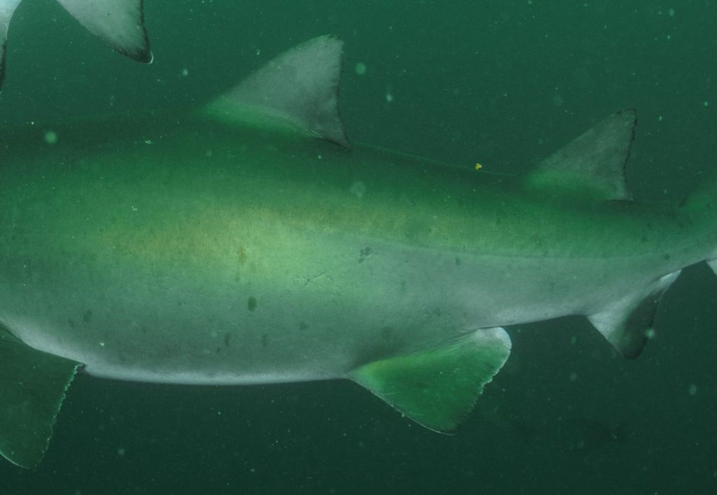 3a1896e2-fc8a-403a-8a03-f6856969e370