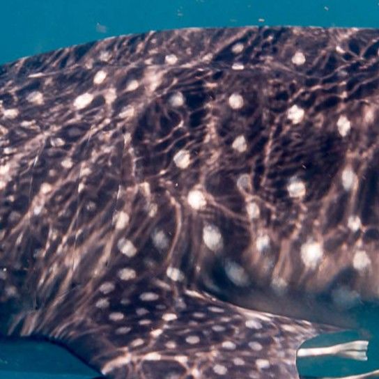 4d3ae903-a07e-4a00-87d7-4280dad7f430