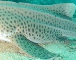 530b8736-ba01-409f-9818-23d3cb2287c1