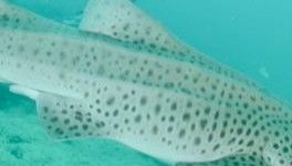 530b8736-ba01-409f-9818-23d3cb2287c1