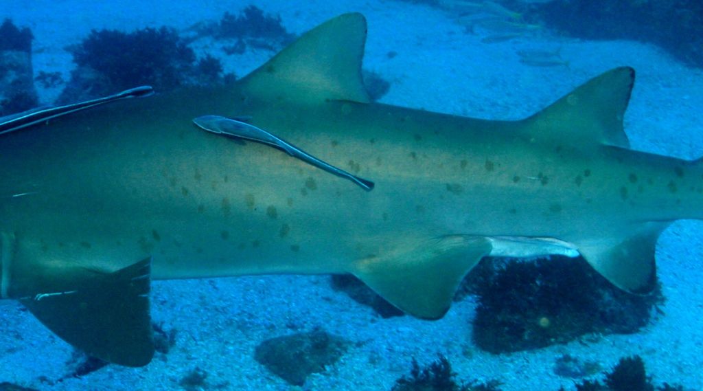 7b47ae73-3a27-4484-82e4-eebb414a4732