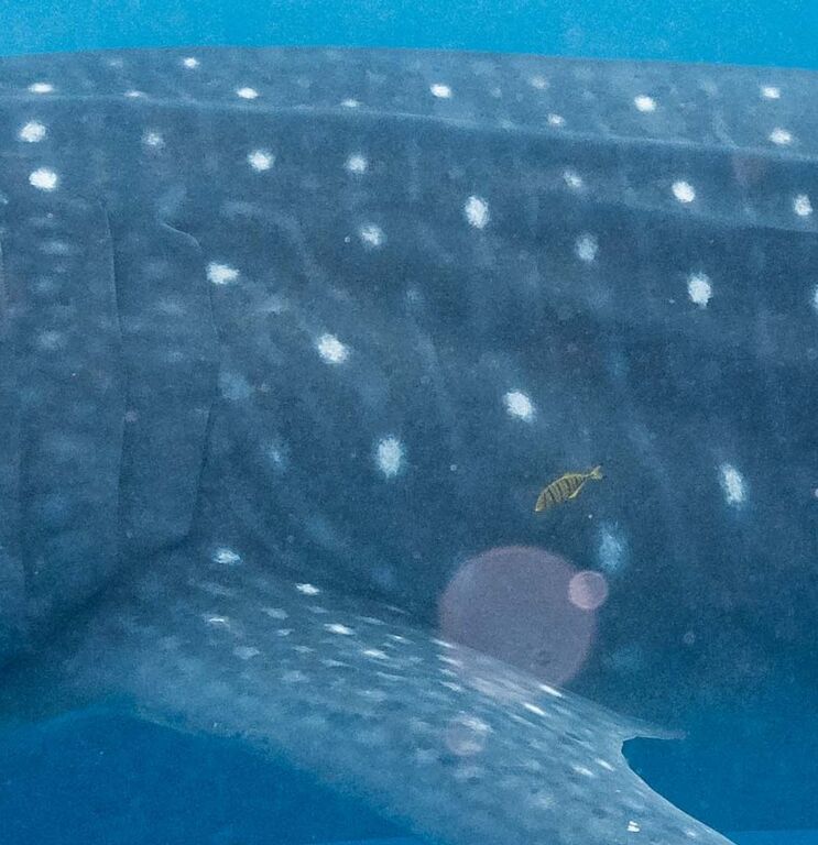 292dd1b3-9ce2-4c73-a52e-3628a5a4cb88