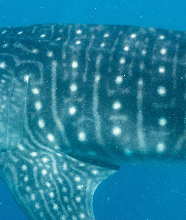 13f4e9f4-4763-4869-8ec7-fc10c8e691f2