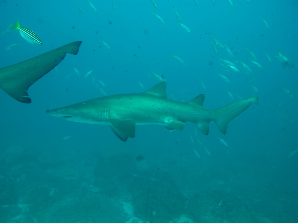 5e6073f3-bf3d-40dc-bed2-032fca59842f