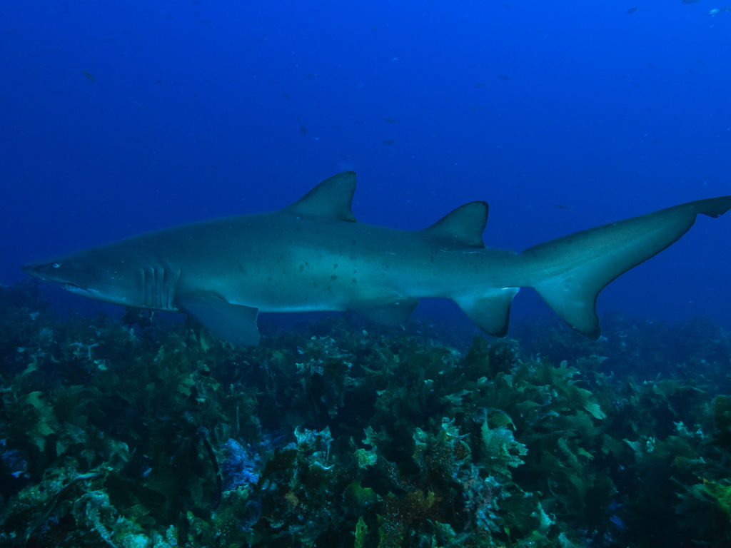 7fe23548-dfe9-4b3b-8f28-52ea96562182