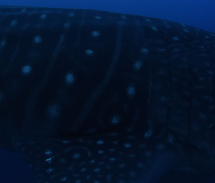 d1b6425d-d5ce-45ea-9157-b3809f141d52