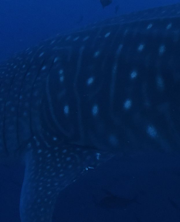 d1b6425d-d5ce-45ea-9157-b3809f141d52