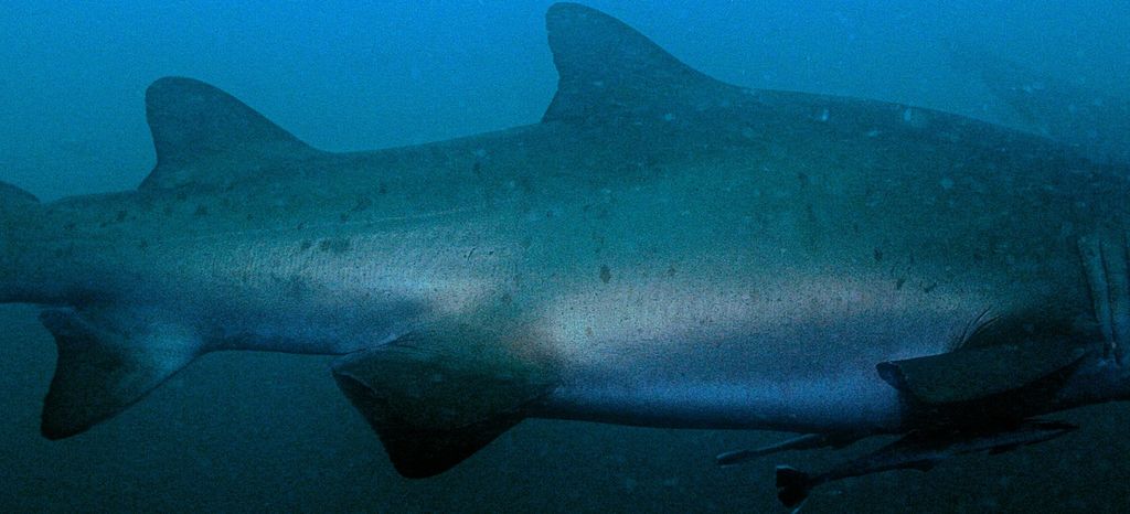 05d3c0f3-1f55-49c7-9dac-0bc6978fe85d