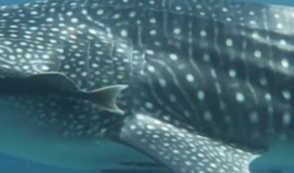 b6ca8b0c-3601-47bb-8761-c642f46c5c2d