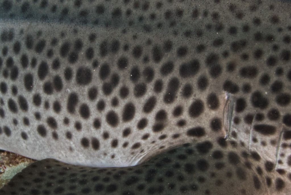 9720260f-7019-44d5-a1b6-8356feeb93c8