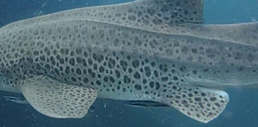 f82157f5-1499-4c04-baaf-b7ed0f416e4a