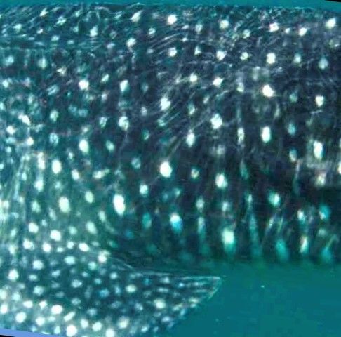 01d8d566-63da-409d-949b-e5b4d45adf03