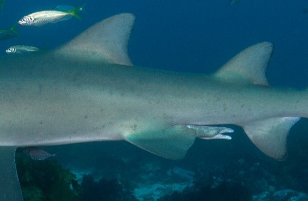 09932c54-b14c-4aa8-9172-b46f1219708a