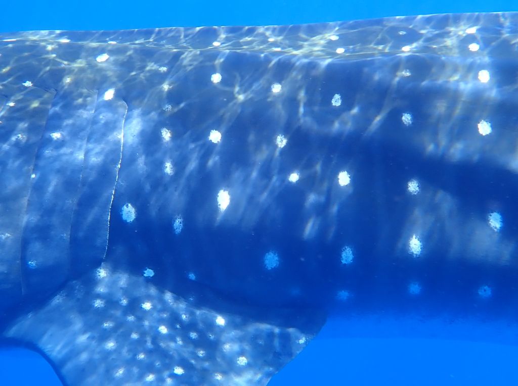 6baf9c04-6979-4725-963d-925dcbe28394