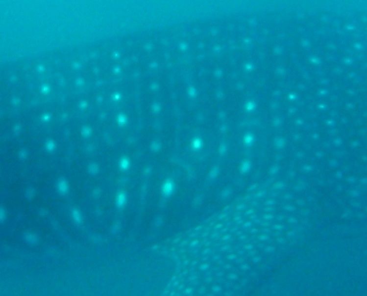 f207b808-b1e4-4dab-aaa3-823c9abe79e1