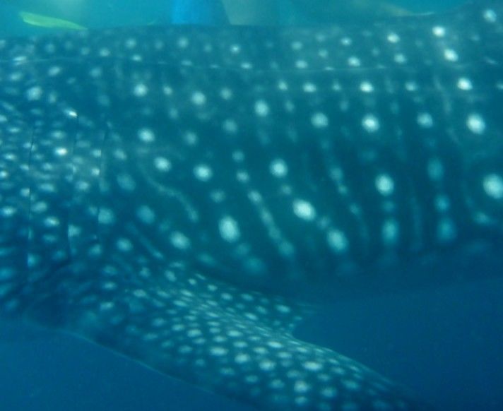 f207b808-b1e4-4dab-aaa3-823c9abe79e1