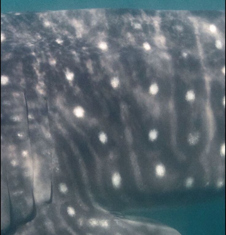 08ed7e23-6304-48d1-856e-a678efffff57