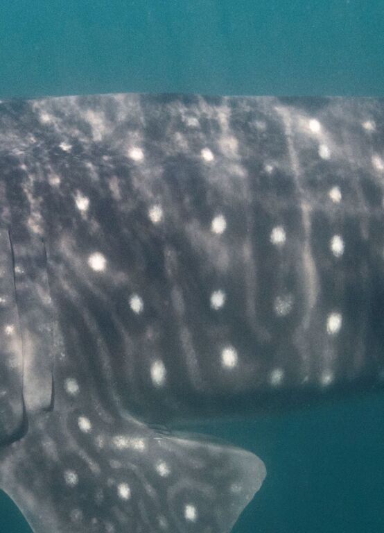 08ed7e23-6304-48d1-856e-a678efffff57