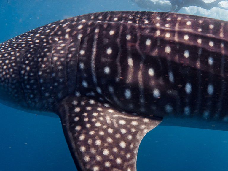 418805df-718f-464b-9b69-6a1bdfeedcf8