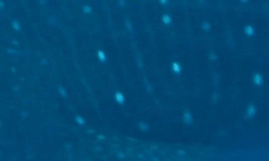 44b2458f-4b1f-4db9-9120-7fc542810025