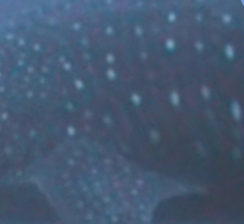 057d9be9-eb16-4178-acbd-008e60e61804