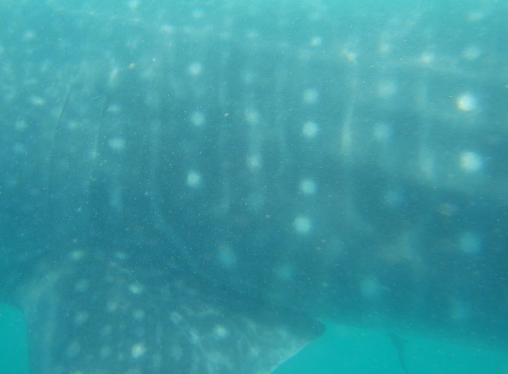 22ae1ea9-c1bf-4a4c-b617-813d8505bbba