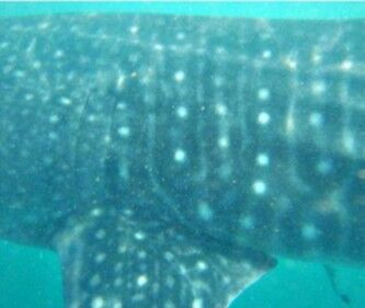 22ae1ea9-c1bf-4a4c-b617-813d8505bbba