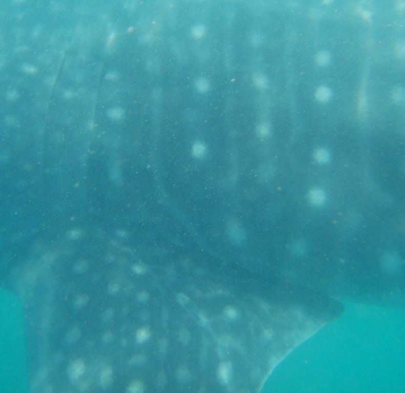 22ae1ea9-c1bf-4a4c-b617-813d8505bbba