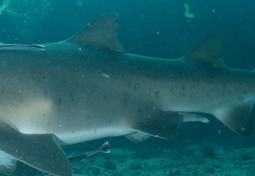 a7a25768-25a7-4b7f-aaa8-a4182032a77a