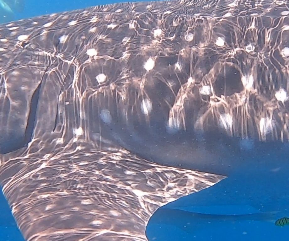 6b816517-34b2-4d88-8a74-4068efb95db7