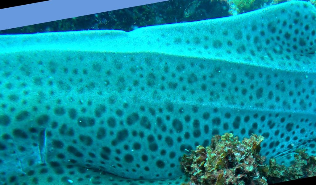 a1b97fe9-07c5-4189-8425-3d209f1a7847