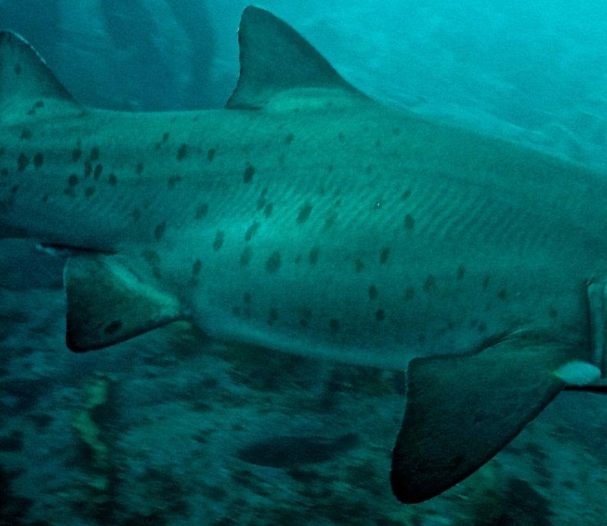 ff93057f-9d88-4769-a5f3-256c6078e453