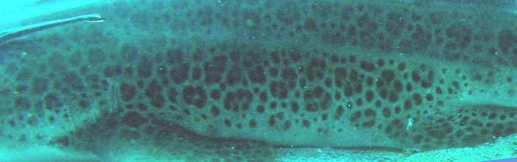 2b7e6bd0-55ec-4503-8702-f4c45597de4f