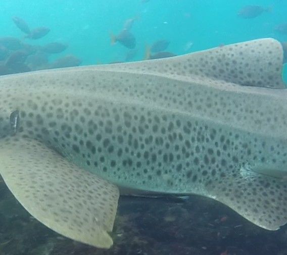 1a5d2942-048d-43f0-b418-12ecf89c44b1