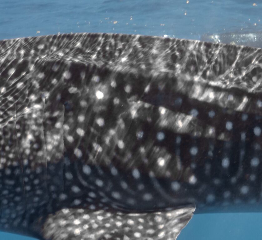 c9f28a12-fc62-405a-84aa-ec76ecc1ac63