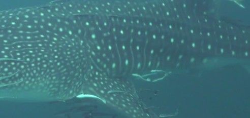 41883524-c29a-4a80-a701-83ca91654269