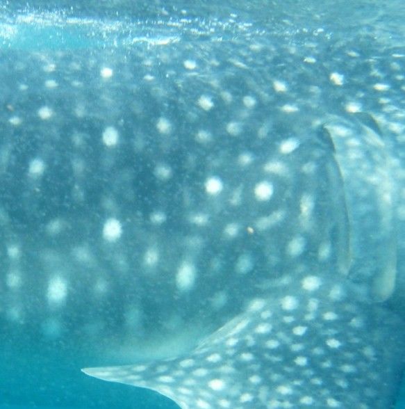 0dd983f5-a1b9-4222-929f-7b48c9355eb5