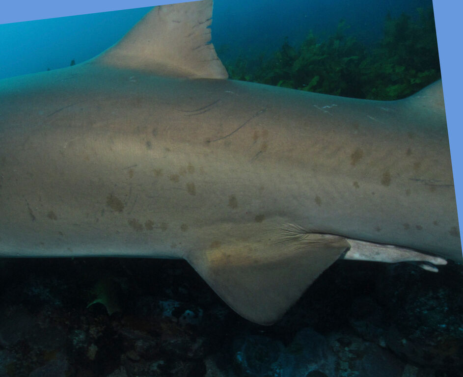 9ab21e8a-633a-4bf4-8a5e-c13319e97c2b