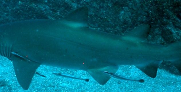 5761f454-1deb-41ea-ad4e-4de9dc4f2210