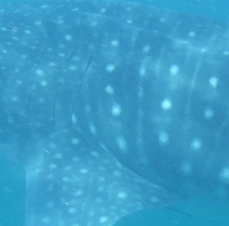 37e06426-c79d-4ecd-ae6d-f53123e27b4f