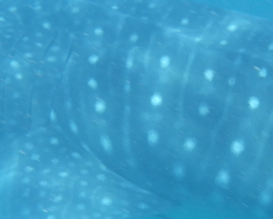 37e06426-c79d-4ecd-ae6d-f53123e27b4f