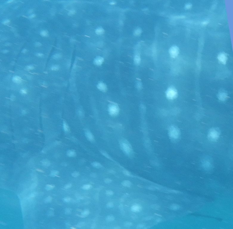 37e06426-c79d-4ecd-ae6d-f53123e27b4f